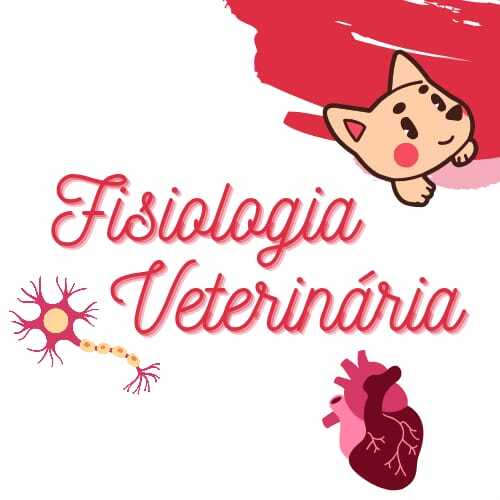 Flashcard MedVetResume por Camila Marinho